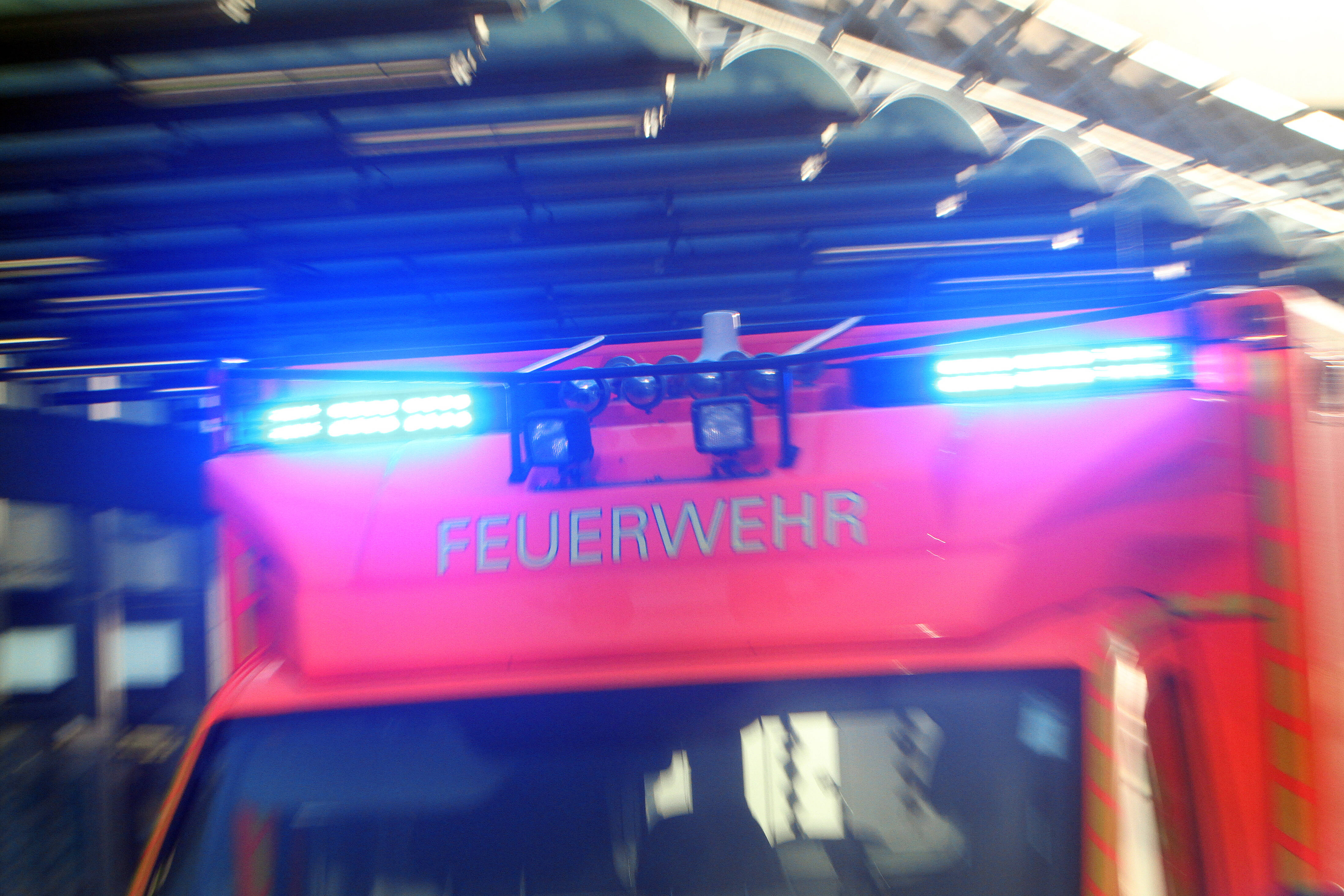 Deutscher TV-Star schwebt in Lebensgefahr - Schwarze Mamba hatte ihn gebissen!