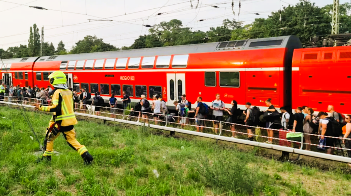 Vollsperrung! 106 Schweine blockieren Bahnstrecke und Bundesstraße! Chaos für Pendler!